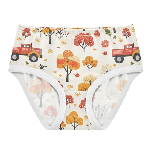 ZZKKO Farmhouse Tree Truck Girls Underwear Toddler Panties for Girls Comfort Brief Size 2-8T