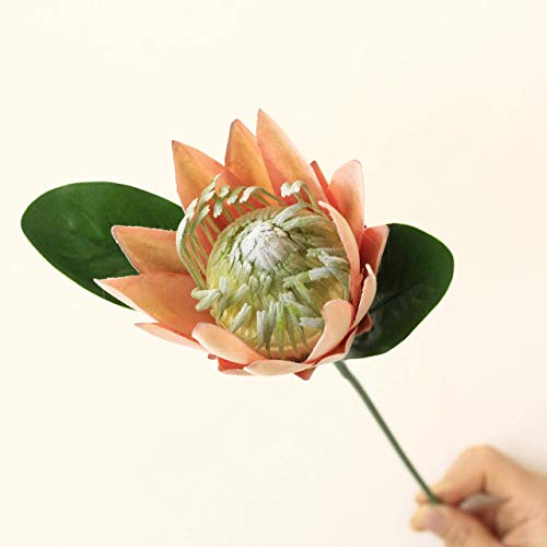 Tinsow Artificial Protea Cynaroides For Flower Arrangements, Faux Protea For Table Decoration Centerpieces, 3 Pieces Silk Protea Bouquet For Wedding (3, Orange) #TOP5