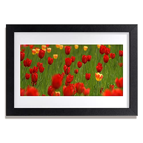 Affiche avec cadre tulipes pour salon et cuisine moderne Tulup photo murale
