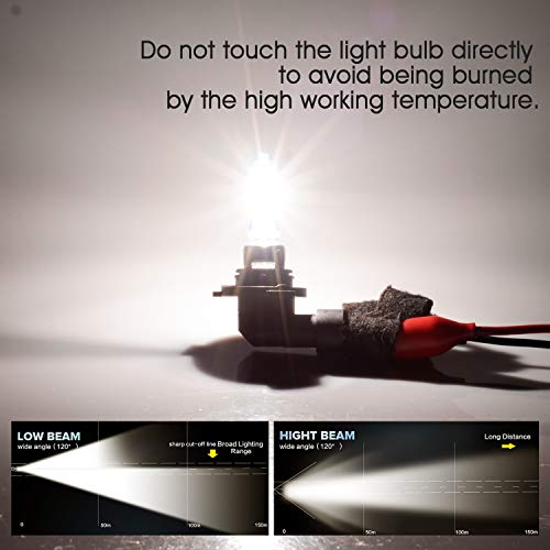 HB3 Halogenlampe TECTICO 9005 12V 65W für Autoscheinwerfer