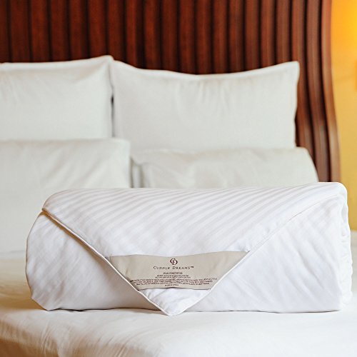 CUDDLE DREAMS Silk Comforter for Spring/Summer/Fall, 100% Long-Strand Silk Filling, Natural & Breathable