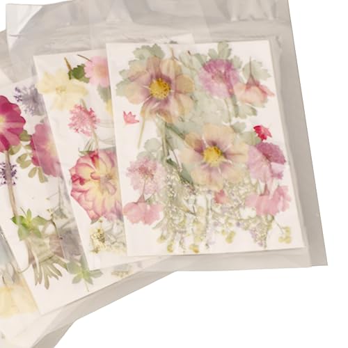 Kit de flores secas prensadas para manualidades 100 pcs miniatura 7