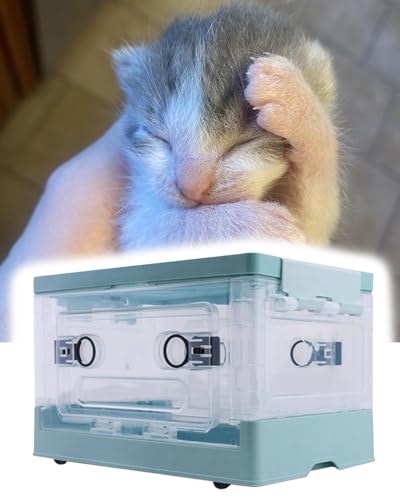 Camera di ossigeno portatile per cani e gatti, assistenza domiciliare e veterinaria, supporta il recupero della respirazione