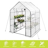 Deluxe Green House 56" W x 56" D x 77" H,Walk in Outdoor Plant Gardening Greenhouse 2 Tiers 8 Shelve