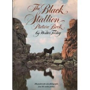 The Black Stallion Picture Book 0394941748 Book Cover