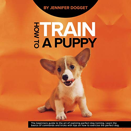 Cover art for How to Train a Puppy