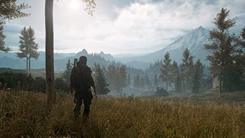 Days Gone Standard - PC [Online Game Code] — view 14