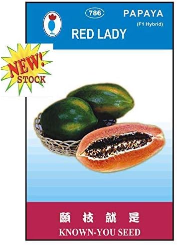 new red lady 786 papaya hybrid f1 seeds 50 seeds