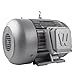 Worldwide Electric T-Frame Motor PEWWE5-18-184TC, TEFC, GP, 3 PH, Rigid-C, 184TC, 6.9 FLA