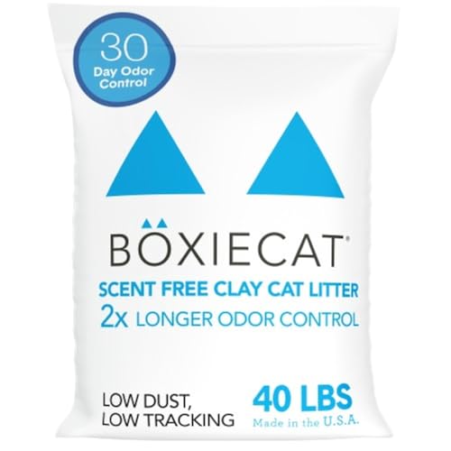 Boxiecat Arena para Gatos aglutinante, Olor, fórmula de Arcilla, Caja de Arena Ultra Limpia, Control de olores más Duradero, Arena aglutinante Dura, 99.9% Libre de Polvo