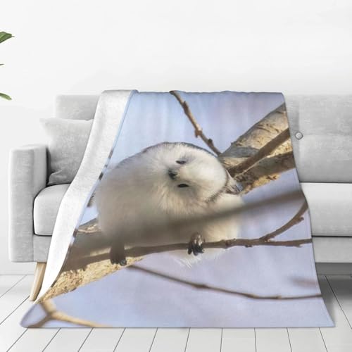 ѕz V}GiK  ̗d (8) Aj y uPbg tl 􂦂 ÓdCh~ g _炩 ӂӂ lGKp 150cm×200cm