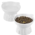Ceramic Elevated Cat Bowls, 2 Extra Wide Raised Cat Bowl for Food and Water, Shallow cat Food Dish Whisker Friendly, Anti Vomit Cat Bowls Microwave and Dishwasher Safe, Great Height (White)