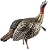 Avian X HDR Jake Turkey Decoy