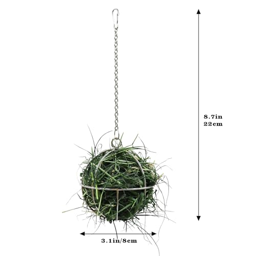 3.1 Inches Tortoise Treat Ball Toy, Hanging Turtle Stainless Steel Hay Feeder Ball, Small Animal Grass Fruit Vegetable Feeder Holder, Suitable for Tortoise Turtle Guinea Pig Hamster Rat Chinchilla - Thumbnail 6
