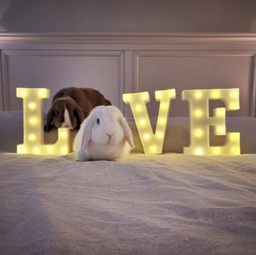 El mejor review de Cartel luminoso led comprados en linea. 21 Imagen adicional