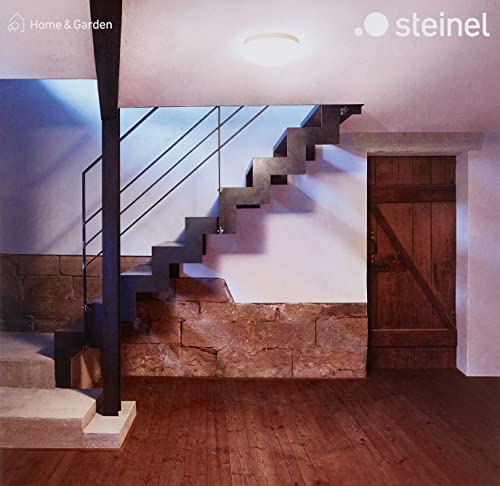 Steinel Innenleuchte RS 16 L, Wandleuchte, Deckenleuchte, 360° Bewegungsmelder, 3-8 m Reichweite,E 27, Max. 60 Watt… – Bild 3