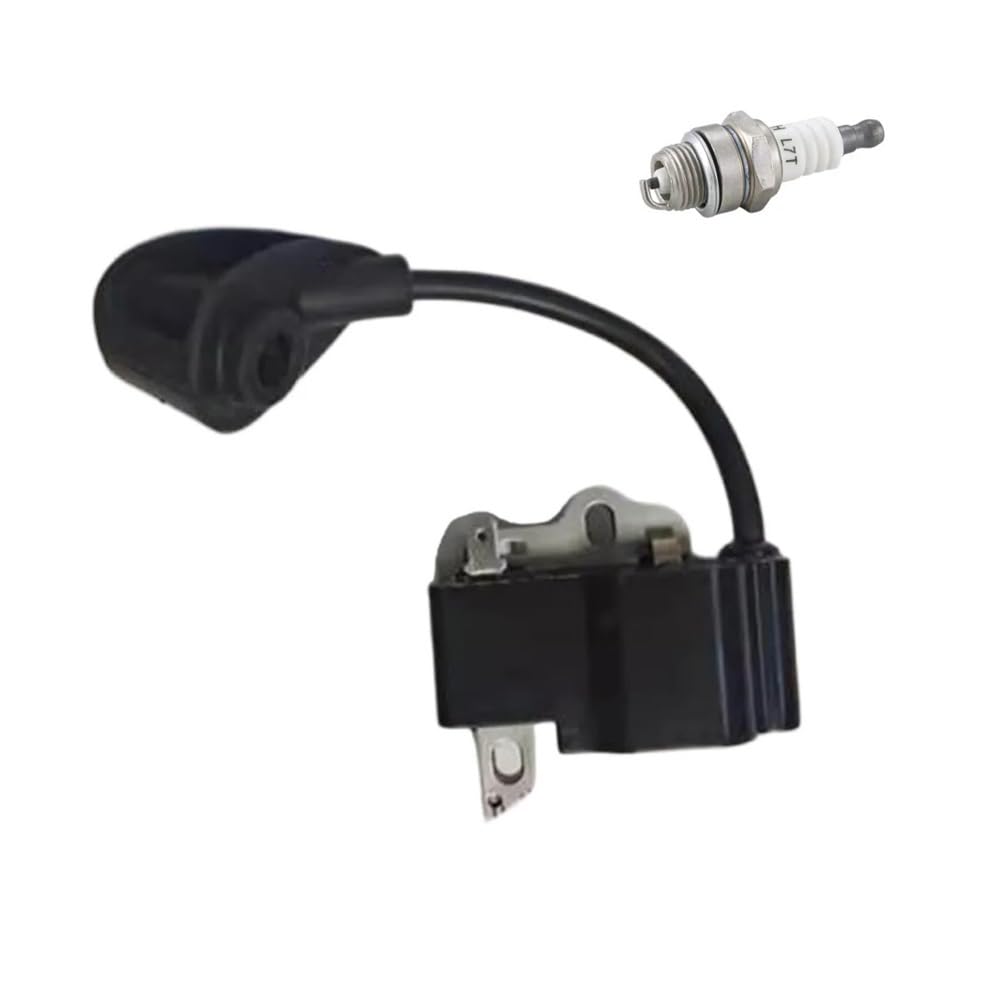 Bobine d'allumage 42374001302 : fin du moteur qui cale sur HS81RC