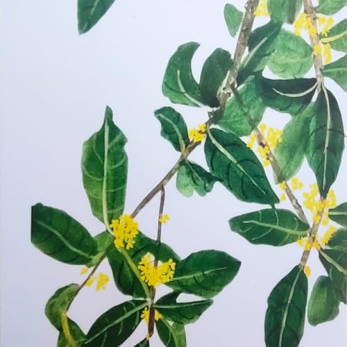 Accessoire d'écriture Osmanthus pour journal et semaine