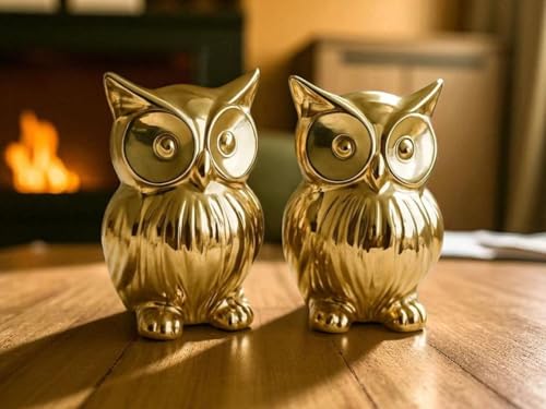 Image of Chocozone Pack of 2 Owl Showpiece for Good Luck Vastu Feng Shui Items for Home Decor Figurines Decorative Items for Home Showpieces for Living Room