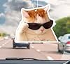 Car Air Freshener - cool cat meme car air freshener- car interrior decoration for cat lovers- funny car meme pendant- car mirror pendant #5