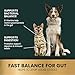 VetriScience Quick Action Diarrhea Aid Paste with Probiotics & B Vitamins, Fast Balance Digestive Support Supplement for Dogs and Cats, Gut Balancer, Help Stop Diarrhea, Unflavored, 35 cc