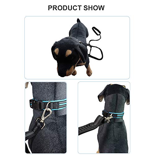 Nishore Trela ​​de cão Trela ​​de treinamento de cão com alça acolchoada confortável para cães peque