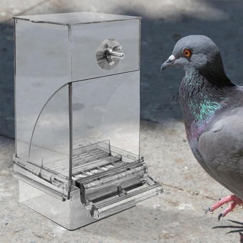 Jaula de pájaros que evita el desperdicio de comida con contenedor automático para loros 3