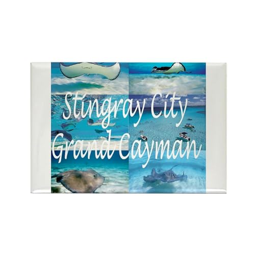 Imán rectangular CafePress Stingray City Grand Cayman miniatura 1