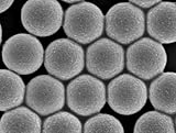 Alpha Nanotech