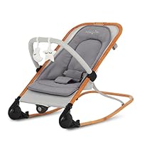 Dream On Me Rock On Me 2-in-1 Baby Rocker and Stationary Seat, Adjustable Recline, Gentle Music & Vibration, 3-Point Safety Harness, Detachable Toy Bar, Folds Compact for Travel – Grey