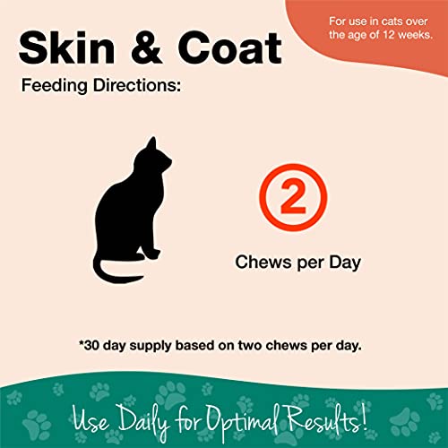 NaturVet – Skin & Coat Plus Omegas for Cats – 60 Soft Chews | Supports Healthy Skin & Glossy Coat | Enhanced with Omega… - Image 4