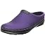 Boysenberry