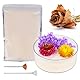 YHNDECO Blumen trocknen 700g Kieselgel zum Trocknen von Blumen, Silica Kieselgel Desiccant Trockenmittel Silica gel kaufen Silica gel packets Silica gel Packungen Blumen trockenmittel Trockensalz
