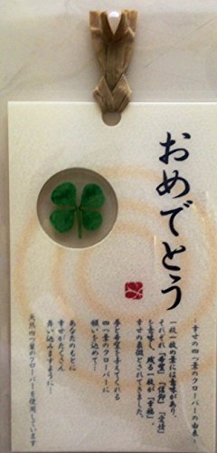 xikers makestar japan メッセージ四つ葉クローバー セウン xikers