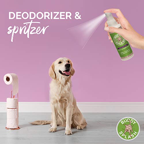 Cloud Star Buddy Splash Green Tea And Bergamot Dog Spritzer #TOP2