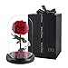 Produktbild Roses, Roses for Beauties and Beasts, Forever Flowers, Glamorous Rose Glass, Glass Dome Redwood Base, Valentine's Party Gifts, Wedding Gifts (Rose)