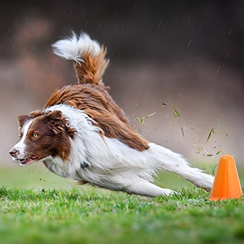 Juvale 50 Pack Mini Cones For Classroom, Small Sports Markers For Soccer, Playground (Orange, 3 In) #TOP2