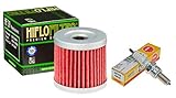 Oil Filter Spark Plug Tune Up Kit for Arctic Cat 400, Kawasaki KFX400, Suzuki LTZ400