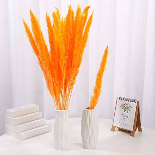 30Pcs Dried Flowers 17 Inch Natural Dried Pampas Grass Reed Plant With Box Real Flowers Romantic Wedding Flower Bulrush Bouquets Flavorful Durable For Diy Home Decor Matching Photography (Orange) #TOP1