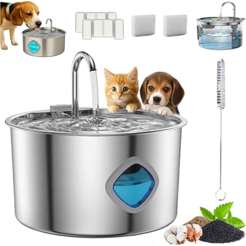 Pawdrate Dog Water Fountain, 3.2L/108oz Pawdrate Filtered Water Fountain, Super Quiet Smart Pet Filtered Water Fountain, 304 Stainless Steel Pawdrate Dog Fountain (1Pcs+2 Filter, Standard)