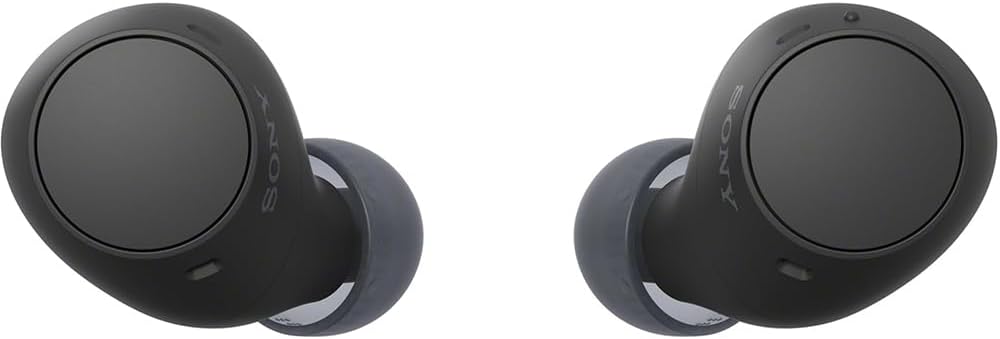 Sony WFC510/B Truly Wireless Earbuds with 22-Hour Battery, IPX4, Multipoint, Black Bundle with in-Ear Headphone (Colors May Vary), Converter Adapter and 1 YR CPS Enhanced Protection Pack
