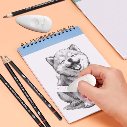 12 Stück Zeichenstifte, mit Stifterolle und Radiergummi, Zeichenset, Skizzenstifte 2H H F HB B 2B 3B 4B 5B 6B 7B 8B, Zeichensets für Künstler, Erwachsene, Zeichnungen, Skizzieren Liebhaberin