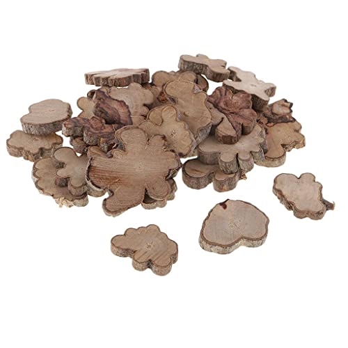 30Pcs Irregular Wood Log Slices Natural Tree Decorative Embellishments #TOP6