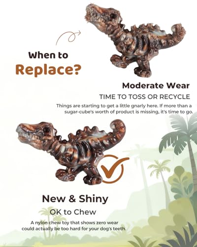 DinoBone 2-Pack Tough Dog Chew Toys for Aggressive Chewers, Rock-Hard Nylon - image 9