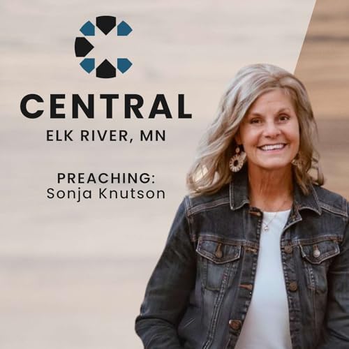 The Flood with Sonja Knutson Podcast Por  arte de portada