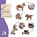 Schleich Horse Club - 8 PC Miniature Shetland Pony Family Playset with 3 Horses and Accessories - Collectable Farm Animal Figurines - Realistic Mini Horse Toys for Girls and Boys - Kids Ages 5+