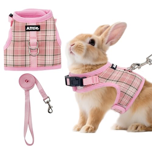 AIITLE oj[n[lXƃ[VZbg GXP[vvv[t-}WbNe[vfUCAyʊiqbVpfBOAqLbgXtFbgAOEH[LOjOAsNS