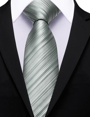Image of Barry.Wang Silk Men Ties Formal Stripes Necktie and Tie Clip for Wedding Party Business Fashion Classic