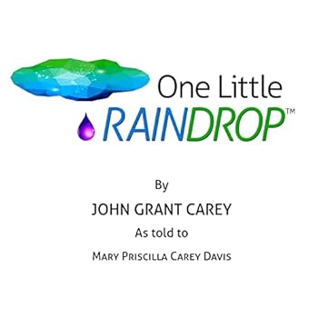 Paperback One Little Raindrop Book