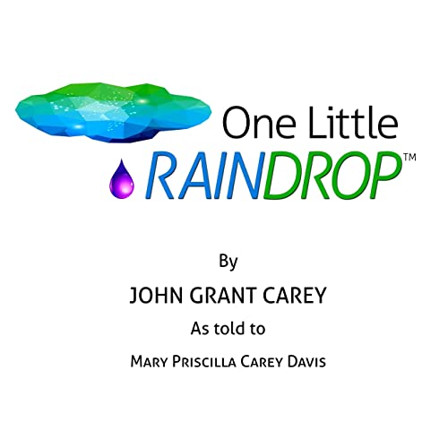 One Little Raindrop 1507508557 Book Cover